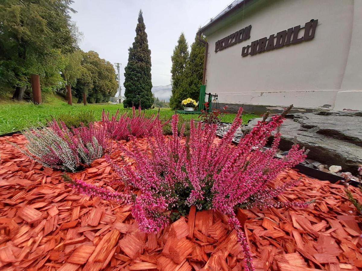 Penzion U Hradilu Vrbno pod Pradědem Exteriör bild